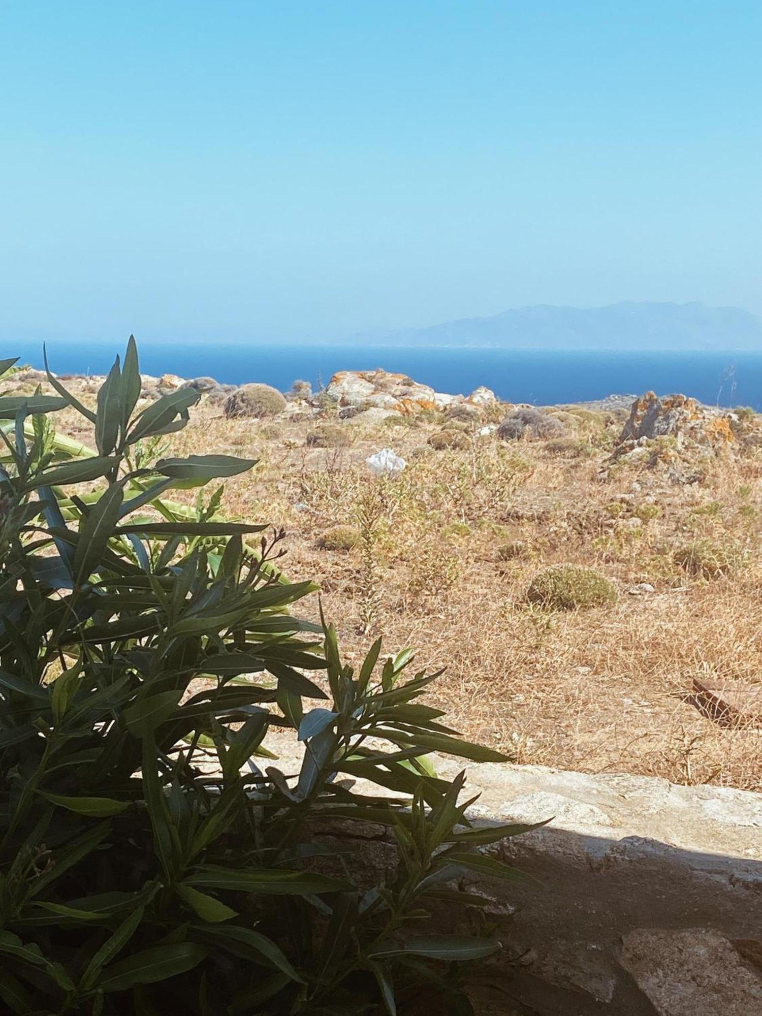 Naira Family Suites Mykonos Mykonos Town Екстер'єр фото